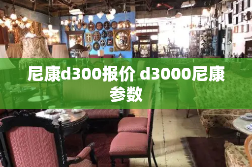 尼康d300报价 d3000尼康参数