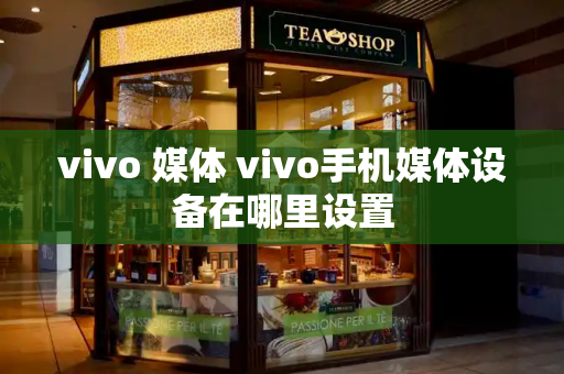 vivo 媒体 vivo手机媒体设备在哪里设置