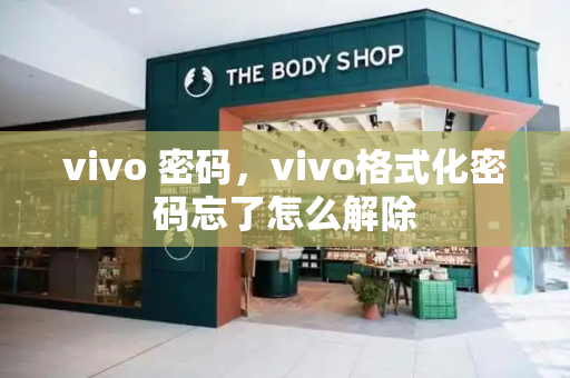 vivo 密码，vivo格式化密码忘了怎么解除