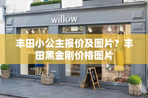 丰田小公主报价及图片？丰田黑金刚价格图片