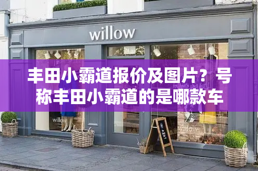 丰田小霸道报价及图片？号称丰田小霸道的是哪款车