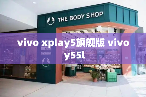 vivo xplay5旗舰版 vivo y55l