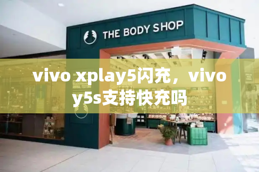 vivo xplay5闪充，vivoy5s支持快充吗-第1张图片-星选测评