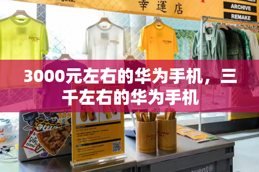 3000元左右的华为手机，三千左右的华为手机-第1张图片-星选测评