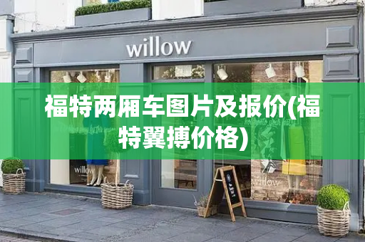 福特两厢车图片及报价(福特翼搏价格)