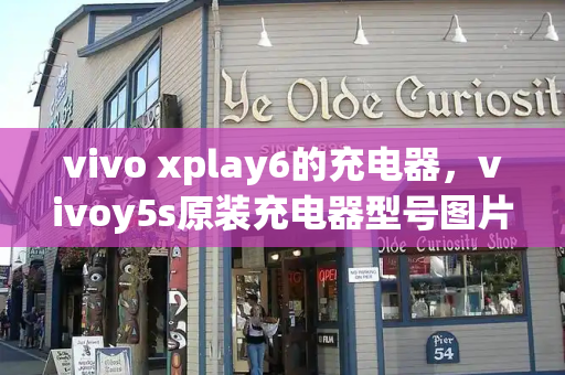 vivo xplay6的充电器，vivoy5s原装充电器型号图片-第1张图片-星选测评