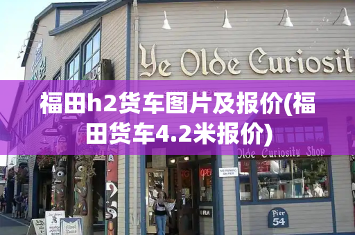 福田h2货车图片及报价(福田货车4.2米报价)-第1张图片-星选测评