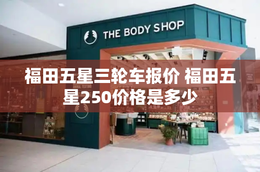 福田五星三轮车报价 福田五星250价格是多少-第1张图片-星选测评