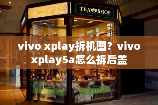 vivo xplay拆机图？vivoxplay5a怎么拆后盖-第1张图片-星选测评