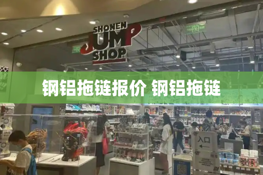 钢铝拖链报价 钢铝拖链