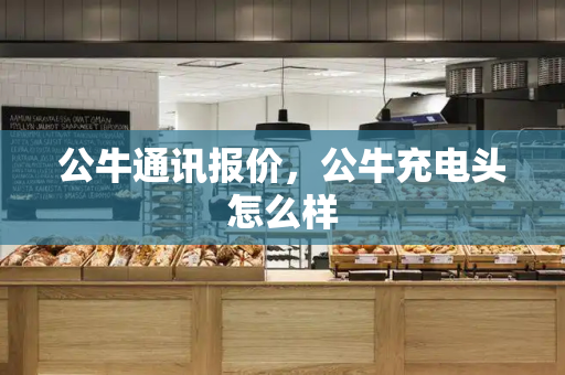 公牛通讯报价，公牛充电头怎么样-第1张图片-星选测评