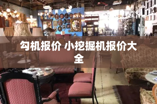 勾机报价 小挖掘机报价大全-第1张图片-星选测评