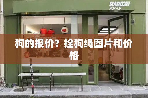 狗的报价？拴狗绳图片和价格