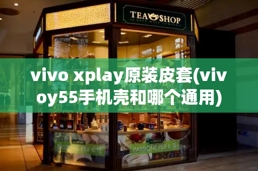 vivo xplay原装皮套(vivoy55手机壳和哪个通用)