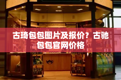 古琦包包图片及报价？古驰包包官网价格-第1张图片-星选测评