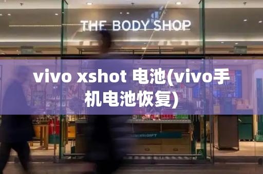 vivo xshot 电池(vivo手机电池恢复)