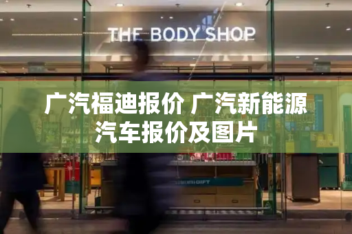 广汽福迪报价 广汽新能源汽车报价及图片