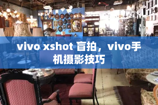 vivo xshot 盲拍，vivo手机摄影技巧-第1张图片-星选测评