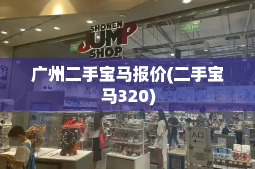 广州二手宝马报价(二手宝马320)-第1张图片-星选测评