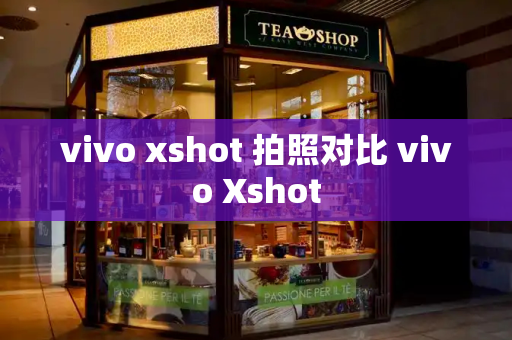 vivo xshot 拍照对比 vivo Xshot-第1张图片-星选测评