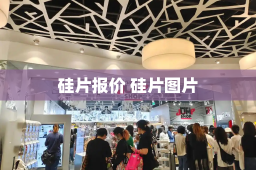 硅片报价 硅片图片-第1张图片-星选测评
