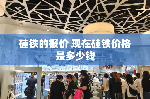 硅铁的报价 现在硅铁价格是多少钱-第1张图片-星选测评