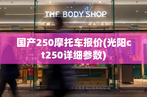 国产250摩托车报价(光阳ct250详细参数)