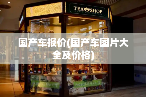 国产车报价(国产车图片大全及价格)-第1张图片-星选测评