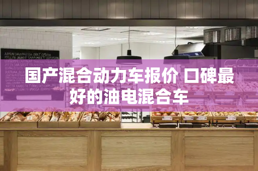 国产混合动力车报价 口碑最好的油电混合车-第1张图片-星选测评