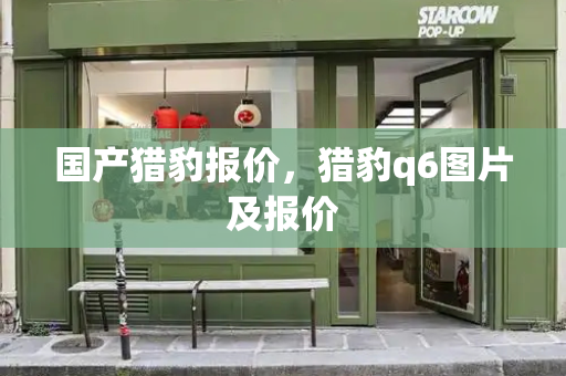 国产猎豹报价，猎豹q6图片及报价