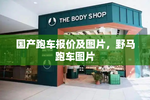 国产跑车报价及图片，野马跑车图片