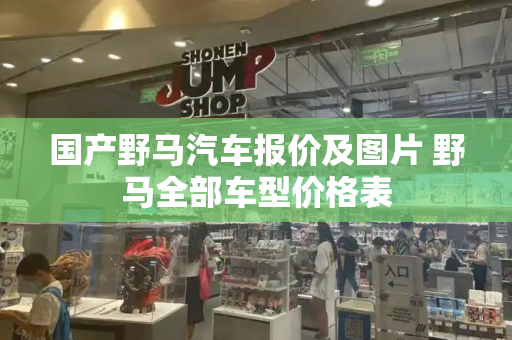 国产野马汽车报价及图片 野马全部车型价格表