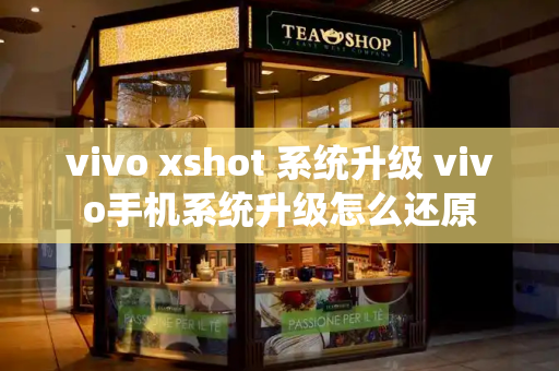 vivo xshot 系统升级 vivo手机系统升级怎么还原-第1张图片-星选测评