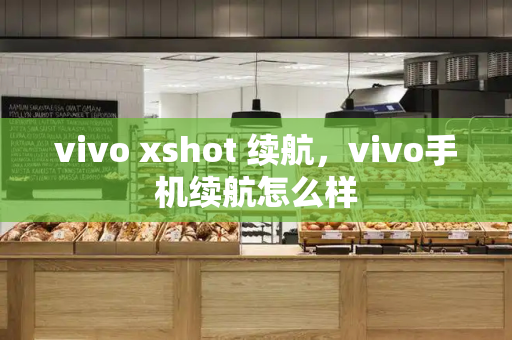 vivo xshot 续航，vivo手机续航怎么样-第1张图片-星选测评