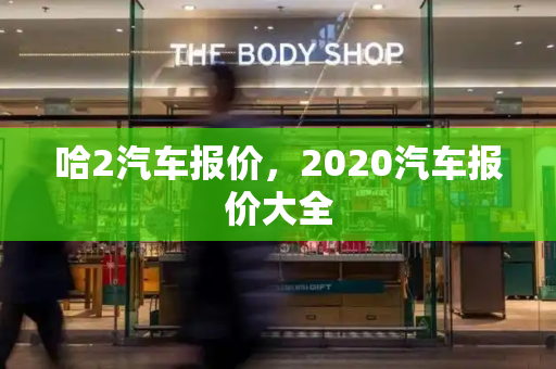 哈2汽车报价，2020汽车报价大全