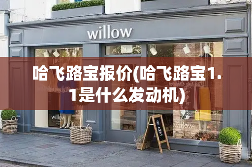 哈飞路宝报价(哈飞路宝1.1是什么发动机)-第1张图片-星选测评
