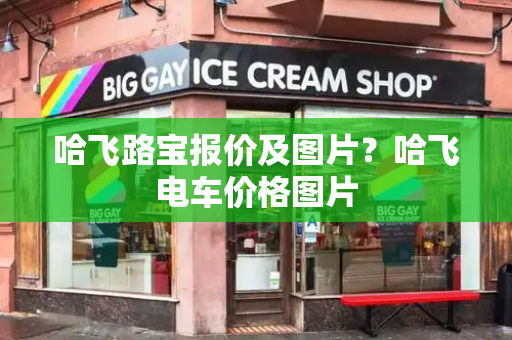 哈飞路宝报价及图片？哈飞电车价格图片