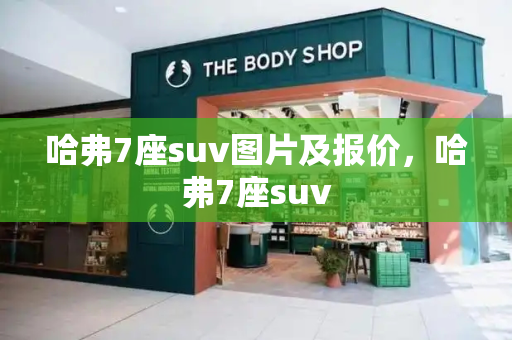 哈弗7座suv图片及报价，哈弗7座suv-第1张图片-星选测评