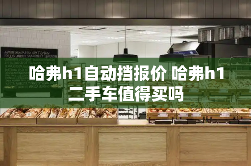 哈弗h1自动挡报价 哈弗h1二手车值得买吗-第1张图片-星选测评