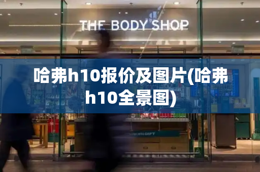 哈弗h10报价及图片(哈弗h10全景图)