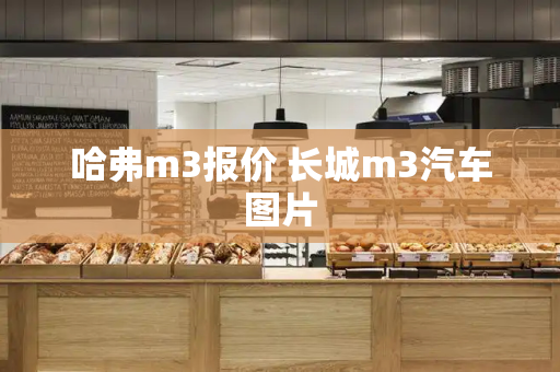 哈弗m3报价 长城m3汽车图片-第1张图片-星选测评