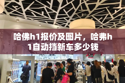 哈佛h1报价及图片，哈弗h1自动挡新车多少钱-第1张图片-星选测评
