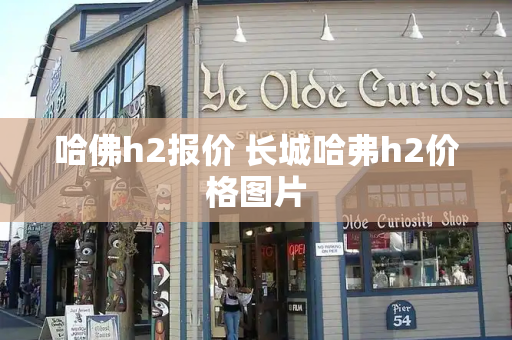 哈佛h2报价 长城哈弗h2价格图片-第1张图片-星选测评