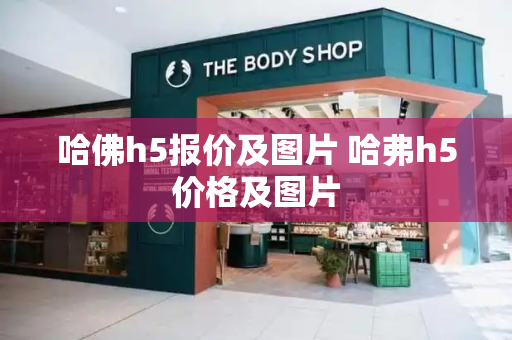 哈佛h5报价及图片 哈弗h5价格及图片-第1张图片-星选测评