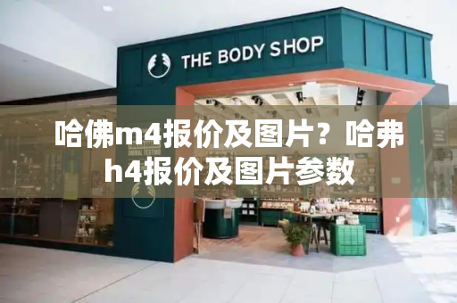 哈佛m4报价及图片？哈弗h4报价及图片参数-第1张图片-星选测评