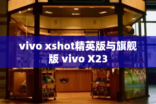 vivo xshot精英版与旗舰版 vivo X23