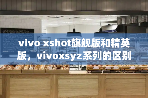 vivo xshot旗舰版和精英版，vivoxsyz系列的区别-第1张图片-星选测评