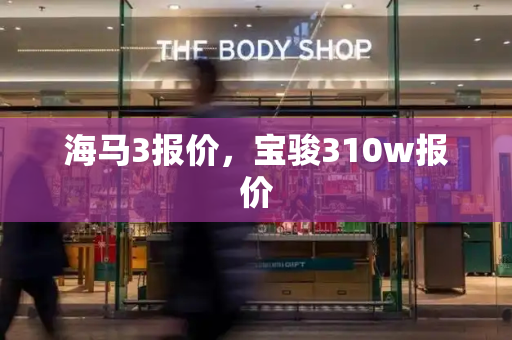 海马3报价，宝骏310w报价-第1张图片-星选测评