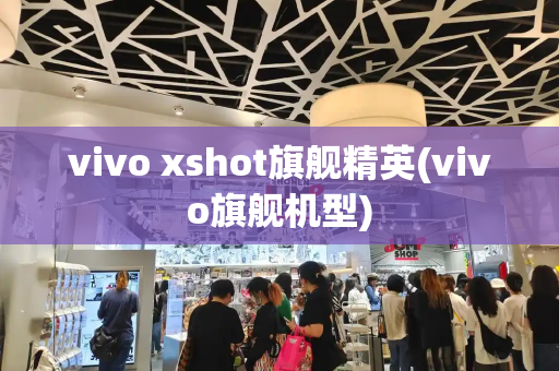 vivo xshot旗舰精英(vivo旗舰机型)