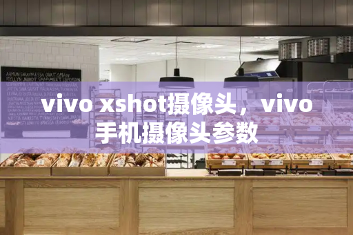 vivo xshot摄像头，vivo手机摄像头参数-第1张图片-星选测评